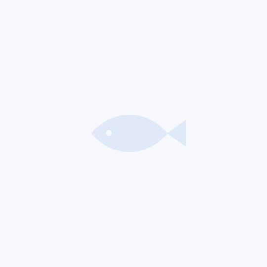 CBB Pistachio ‘Ready To Fish’ 14mm Cubo de Boilies