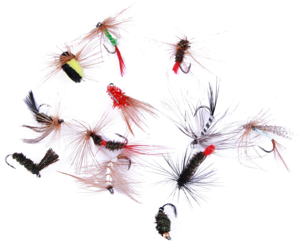 Caja para Trucha, llena de artículos para la pesca de trucha - Ultimate selección de moscas (12pcs)