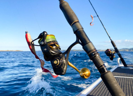 Outlet de Pesca de Mar