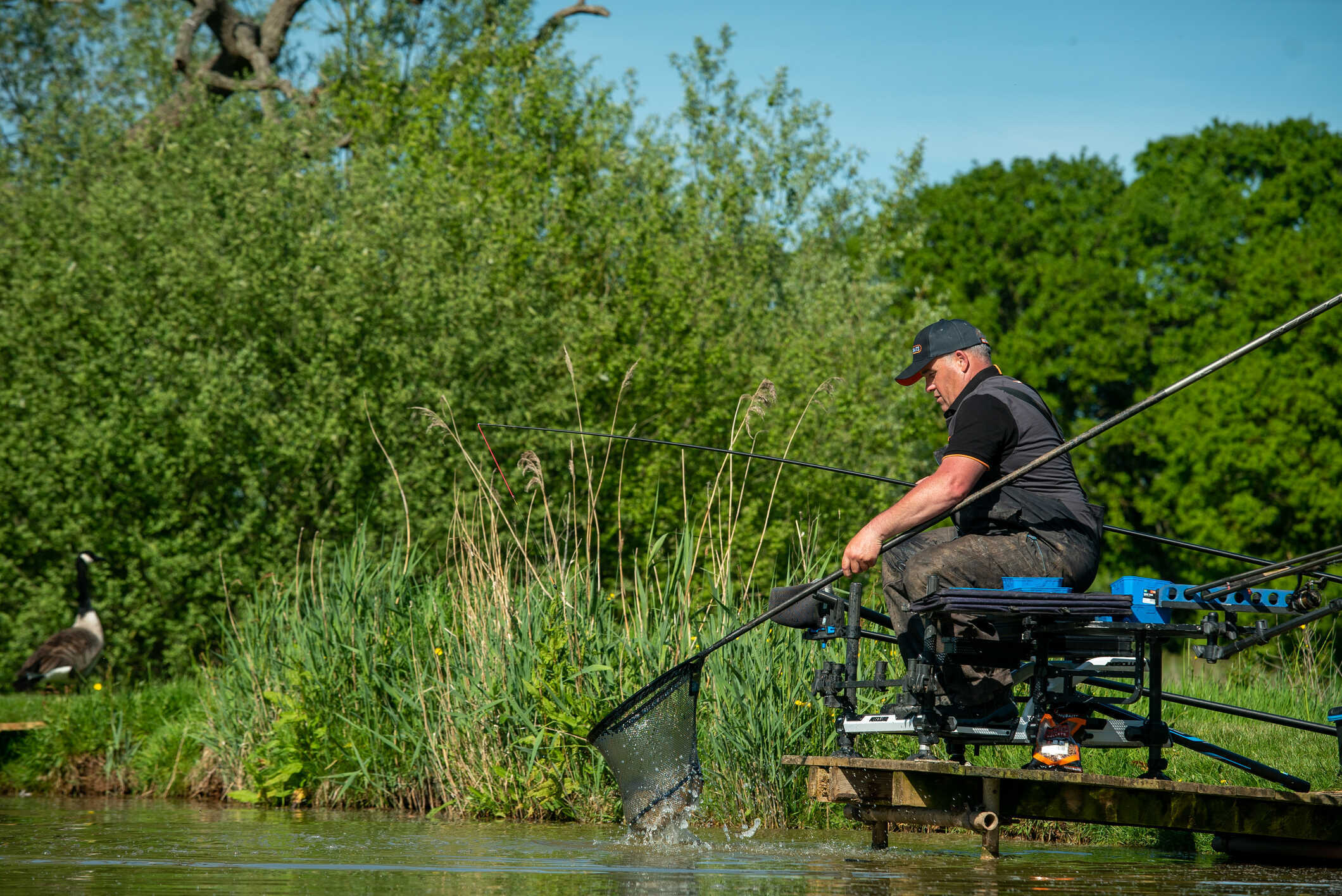 Sonubaits Camiseta Polo