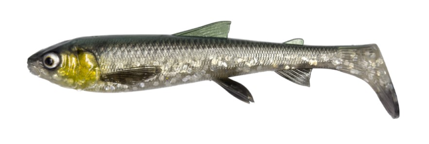 Savage Gear 3D Whitefish Shad 17.5cm (42g) (2 piezas) - Green Silver