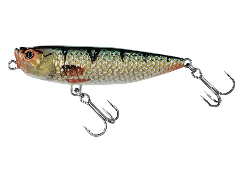 Molix WTD-65 Fat Rattlin' Tarpon Series Señuelo de Superficie 6,5 cm (6 g)