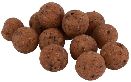 Premium Readymade The Nutz Boilies en 15 o 20mm