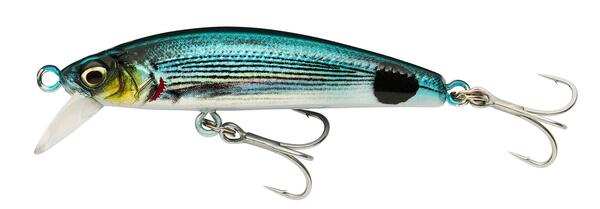 Savage Gear Gravity Minnow Floating Señuelo 5cm (3.1g) - Saddled Bream