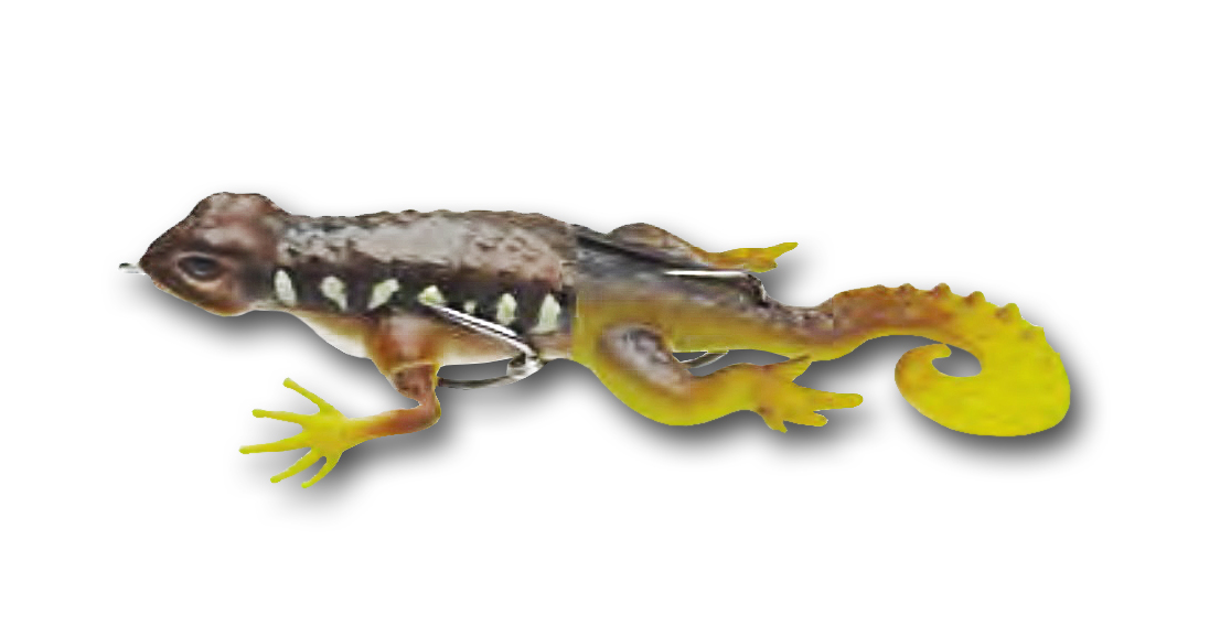 Behr Trendex Gecko Señuelo de Superficie 13.5cm (21g) - Color 1