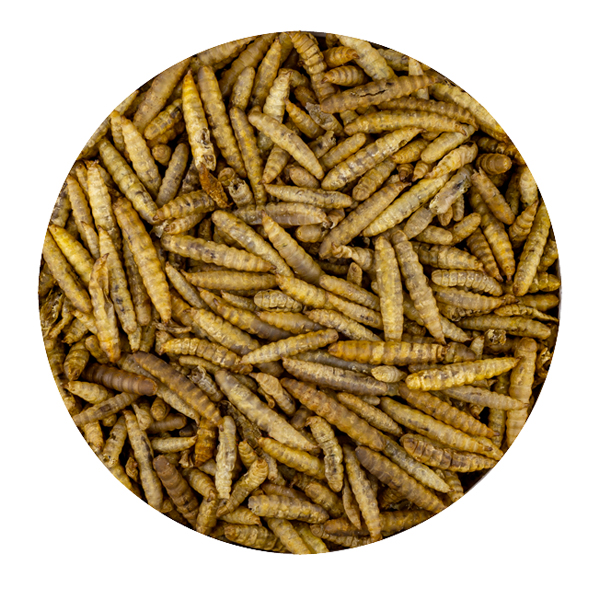 Vivani Gedroogde BSF larvas - 375 gram