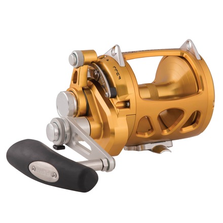 PENN International VI SW Gold Carrete para Mar