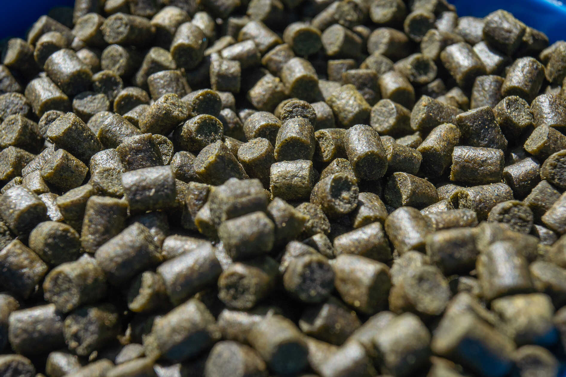 Sonubaits Marine Green Feed Pellets (900 g)