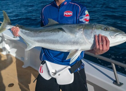 Cinturones de pesca