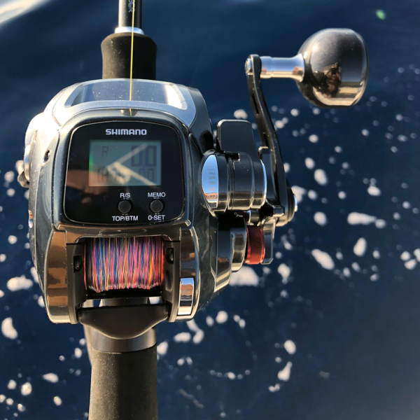 Shimano Plays 600 Boat Carrete Eléctrico para Mar RH