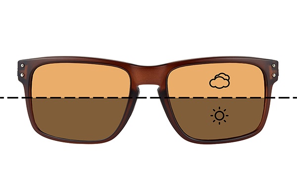 Fortis Eyewear Bays Switch Brown Gafas de Sol