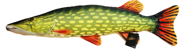 Gaby The Pike - 80cm