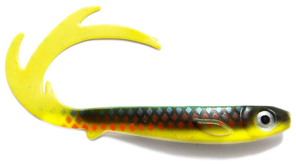 EJ Lures Flatnose Dragon Shad - Parrot