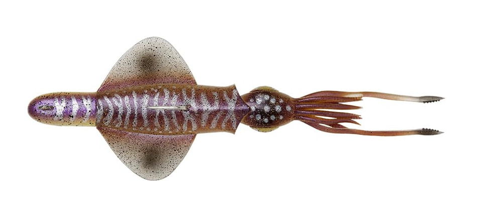 Savage Gear Swim Squid Rtf Señuelo para Mar 25cm (160g) - Cuttlefish